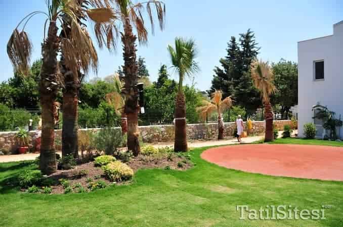Dilek Ağacı Boutique Beach